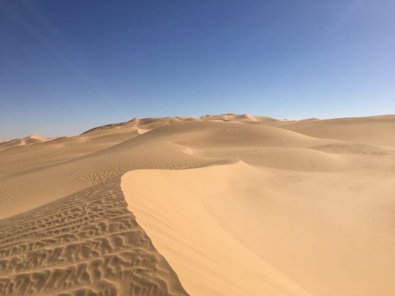 Le Jardin des Sable