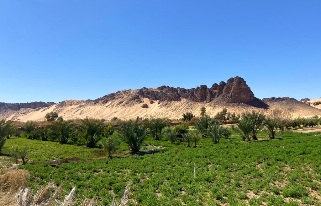 Le Jardin des Sables