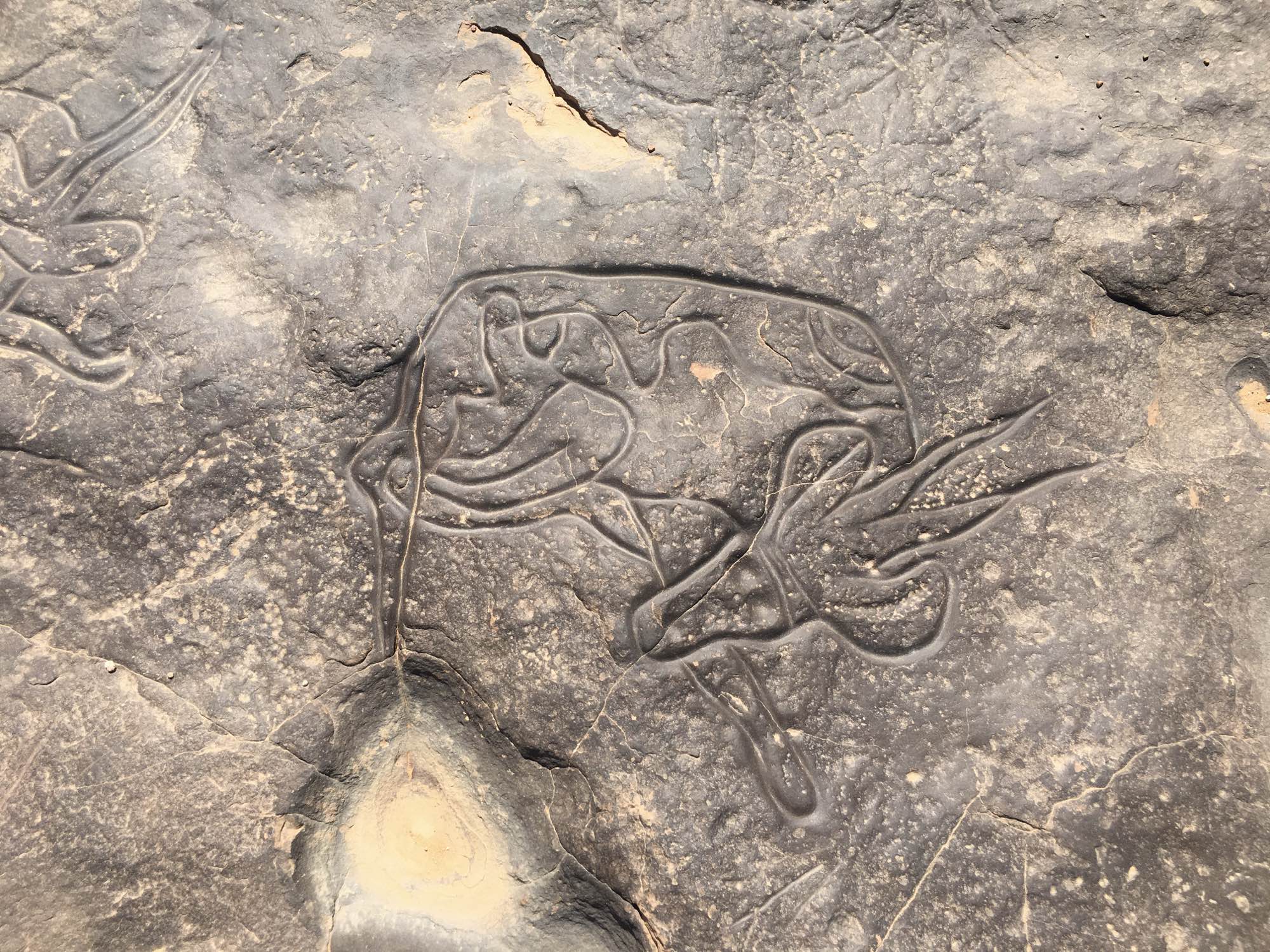 diapo-Iherir-2