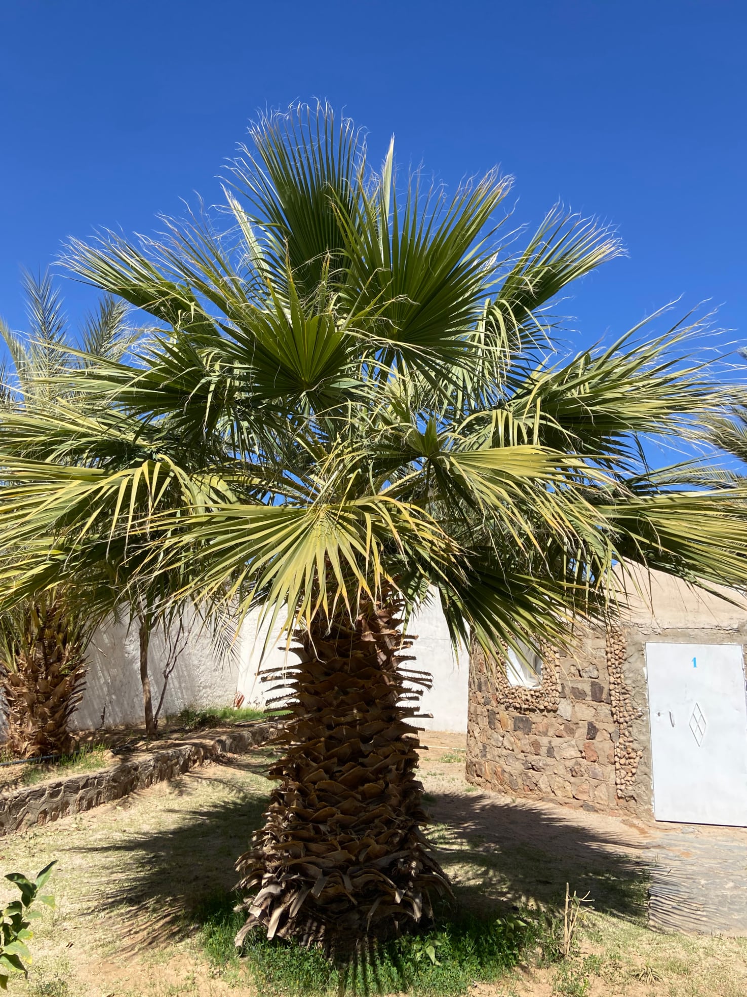 diapo-le-jardin-4