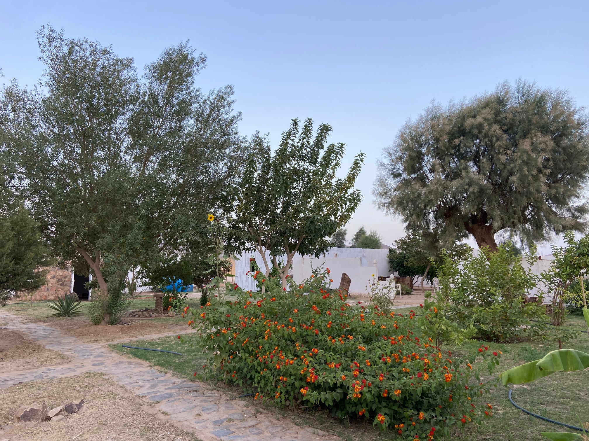 diapo-le-jardin-18